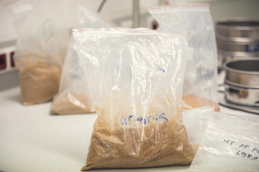 Sand samples from Vietnam. Photo: Matthias Piekacz